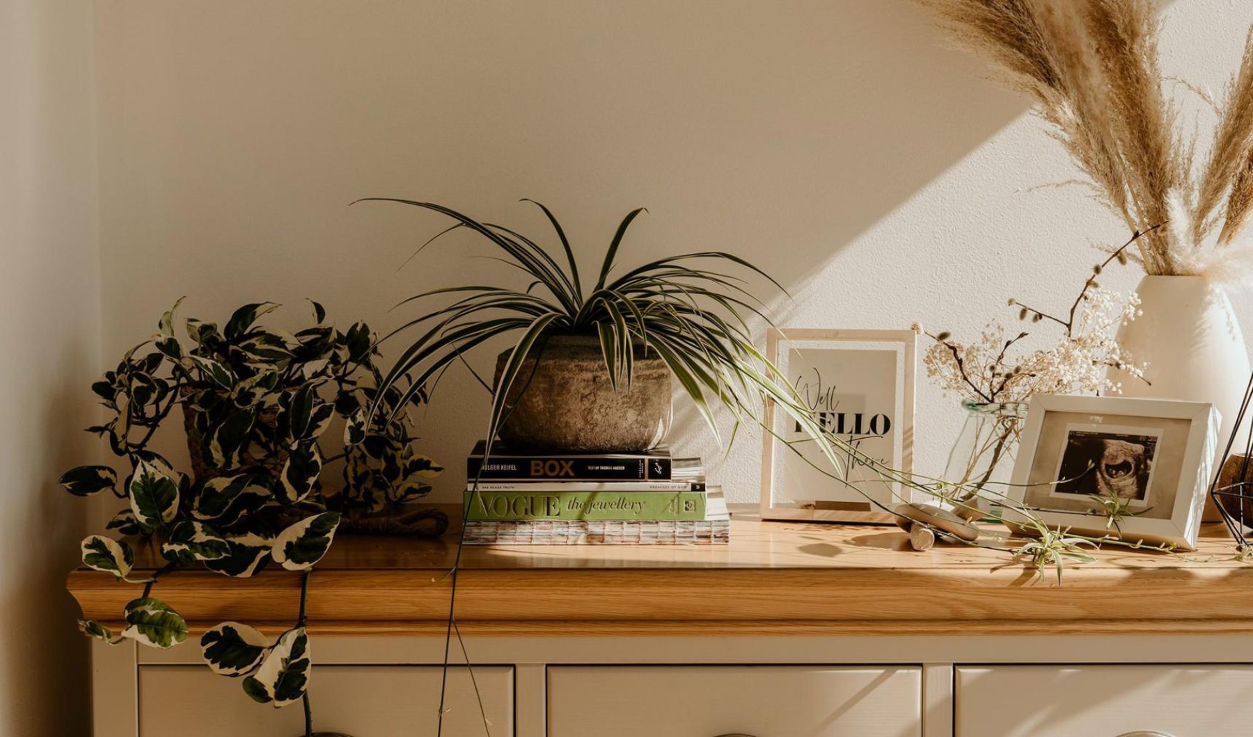 bureau top decorated with potted plants, books and framed pictures